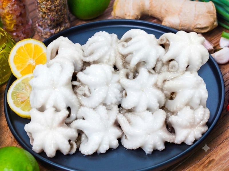 EU CATCH & IUU Rules for Squid & Octopus Buyers (2026)