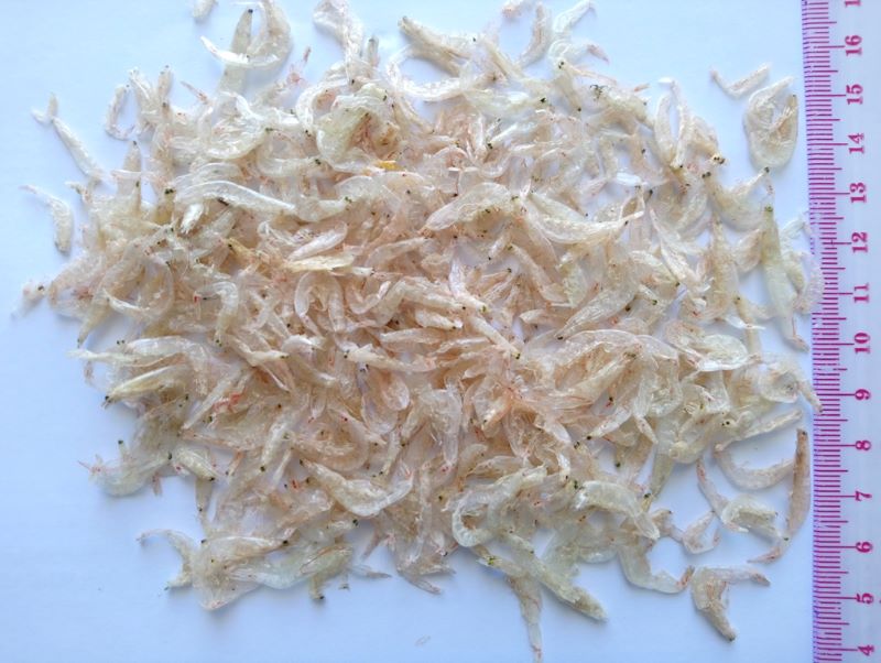 dried-baby-shrimp-baseafood-vietnam-exporter