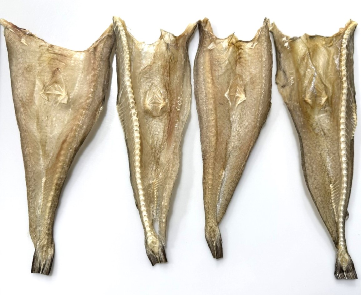 dried-bombay-duck-vietnam-top-dried-fish