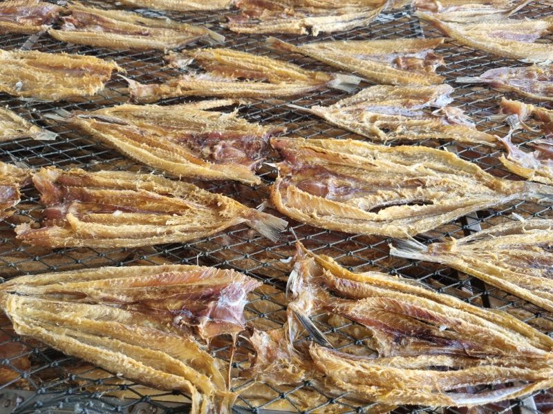 dried-lizard-fish-vietnam-top-dried-fish