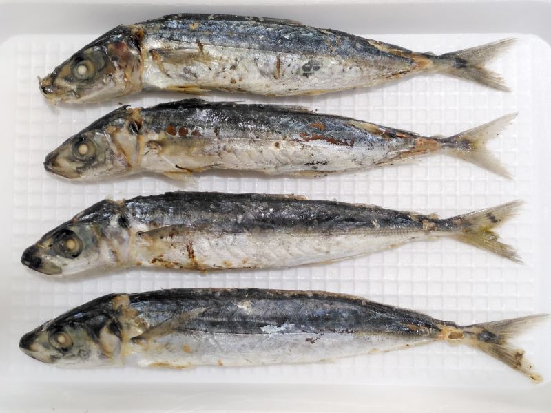dried-round-scad-vietnam-top-dried-fish