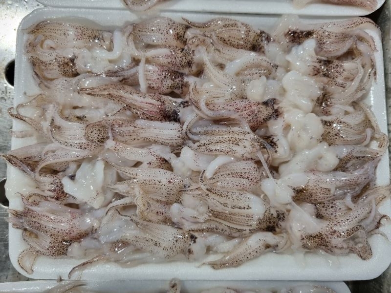 vietnam-frozen-loligo-squid-tentacle