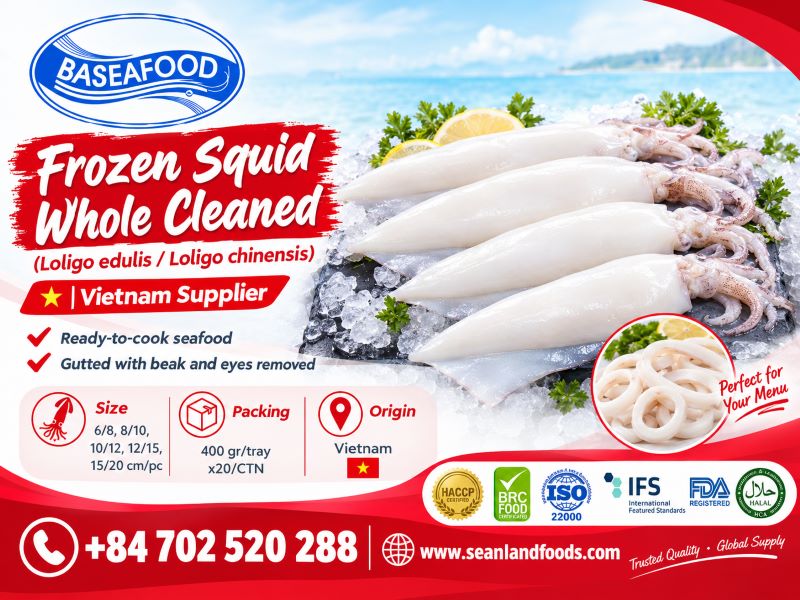 loligo-squid-calamari-whole-cleaned-vietnam-supplier