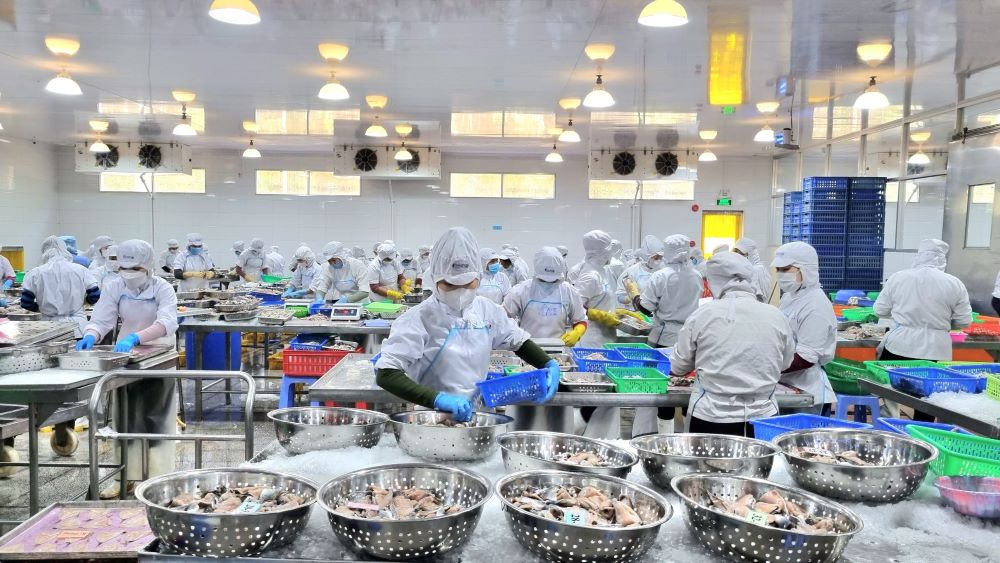 BASEAFOOD seafood processing line - Vietnam frozen and dried seafood supplier